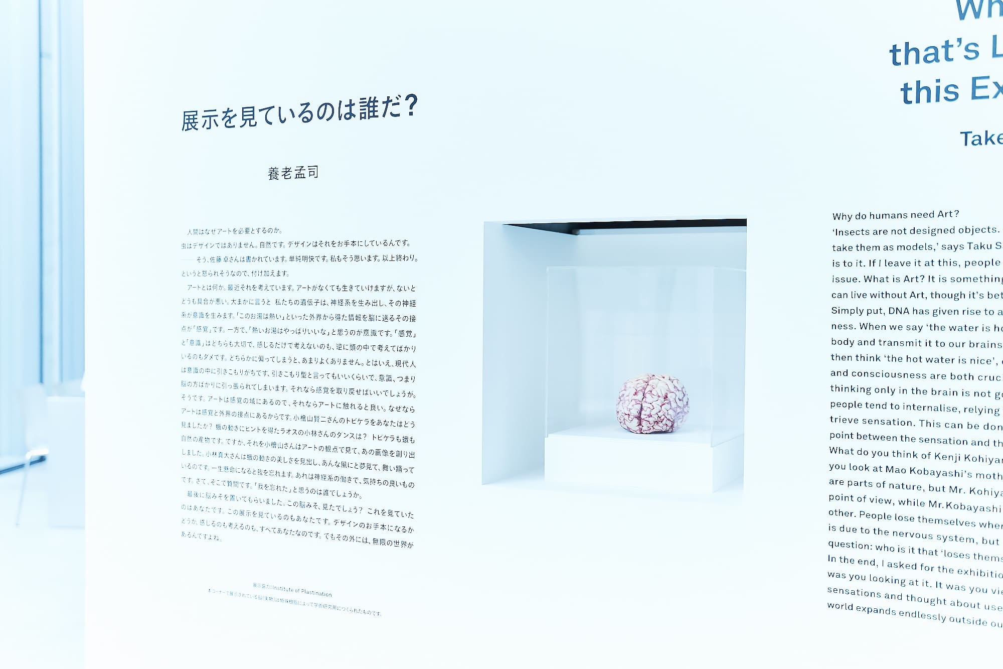 特殊樹脂によって学術研究用につくられた脳の標本と、養老氏が寄せた解説文。「（前略）この展示を見ているのもあなたです。デザインのお手本になるかどうか、感じるのも考えるのも、すべてあなたなのです。でもその外には、無限の世界があるんですよね。」 （展示協力：Institute of Plastination）