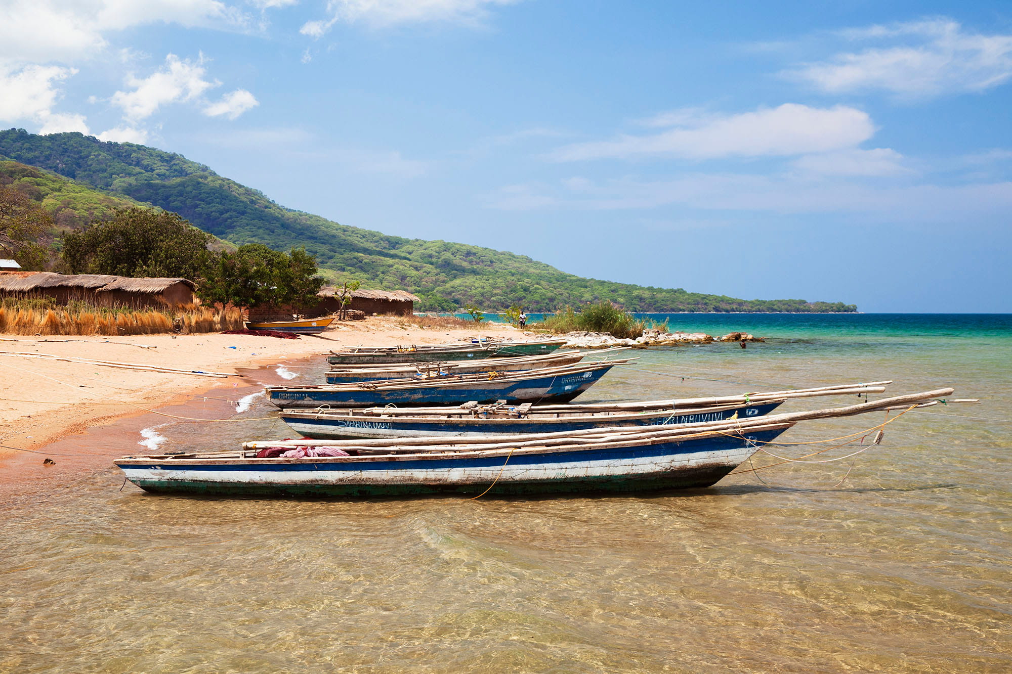 タンガニーカ湖はタンザニア、ザンビア、コンゴ民主共和国、ブルンジの4カ国にまたがる淡水湖で、固有種が非常に多い。ロシアのバイカル湖に次いで世界で2番目に深く、最大深度は約1,470m ©︎NPL/amanaimages
