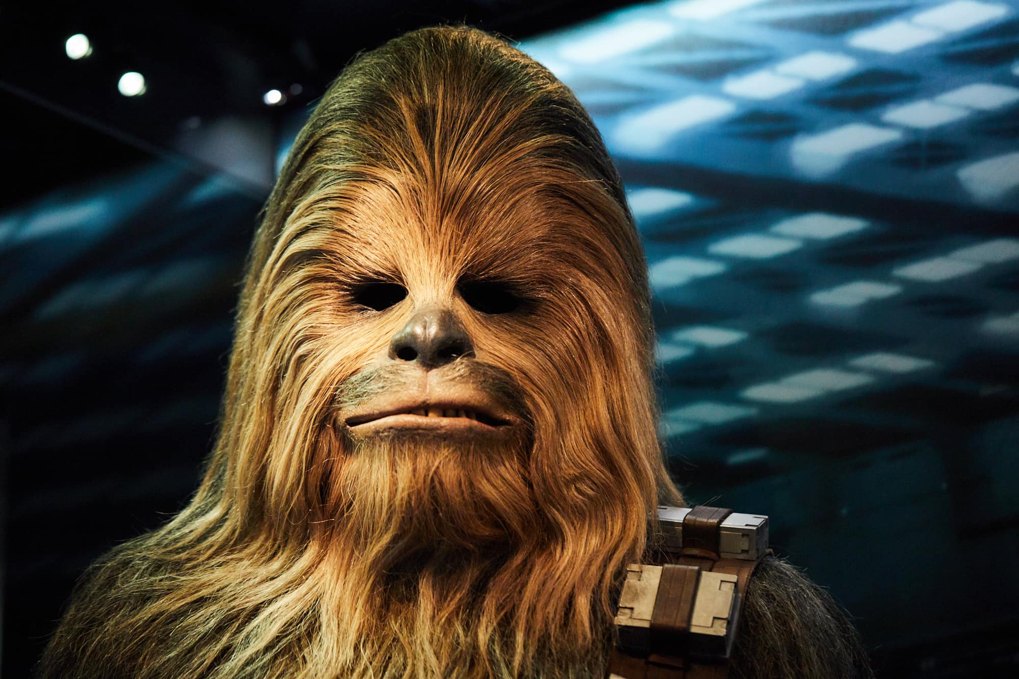 レプリカから劇中で実際に使われた小道具や衣裳まで、貴重なコンセプト・アート（設定画）とともに200点以上を展示。多くの美術作品は今後、ロサンゼルスに設立される「ルーカスフィルム・ミュージアム」への収蔵が決まっているため、日本でこの規模の展示が見られるのは最後の機会だという