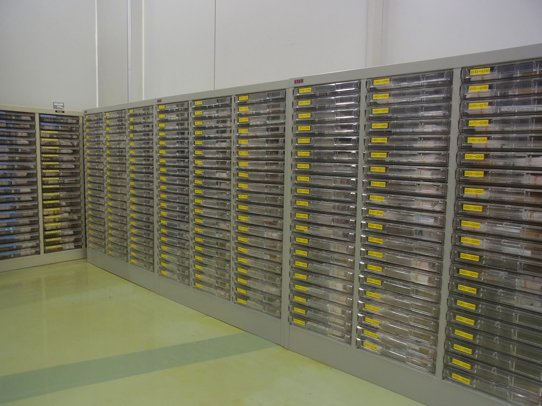 タカノフーズの研究所には、30年余をかけて採集した納豆菌、2200種類以上が厳重に保管されている （画像提供：タカノフーズ株式会社）