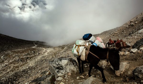 精霊の頂、マナスル山行記①