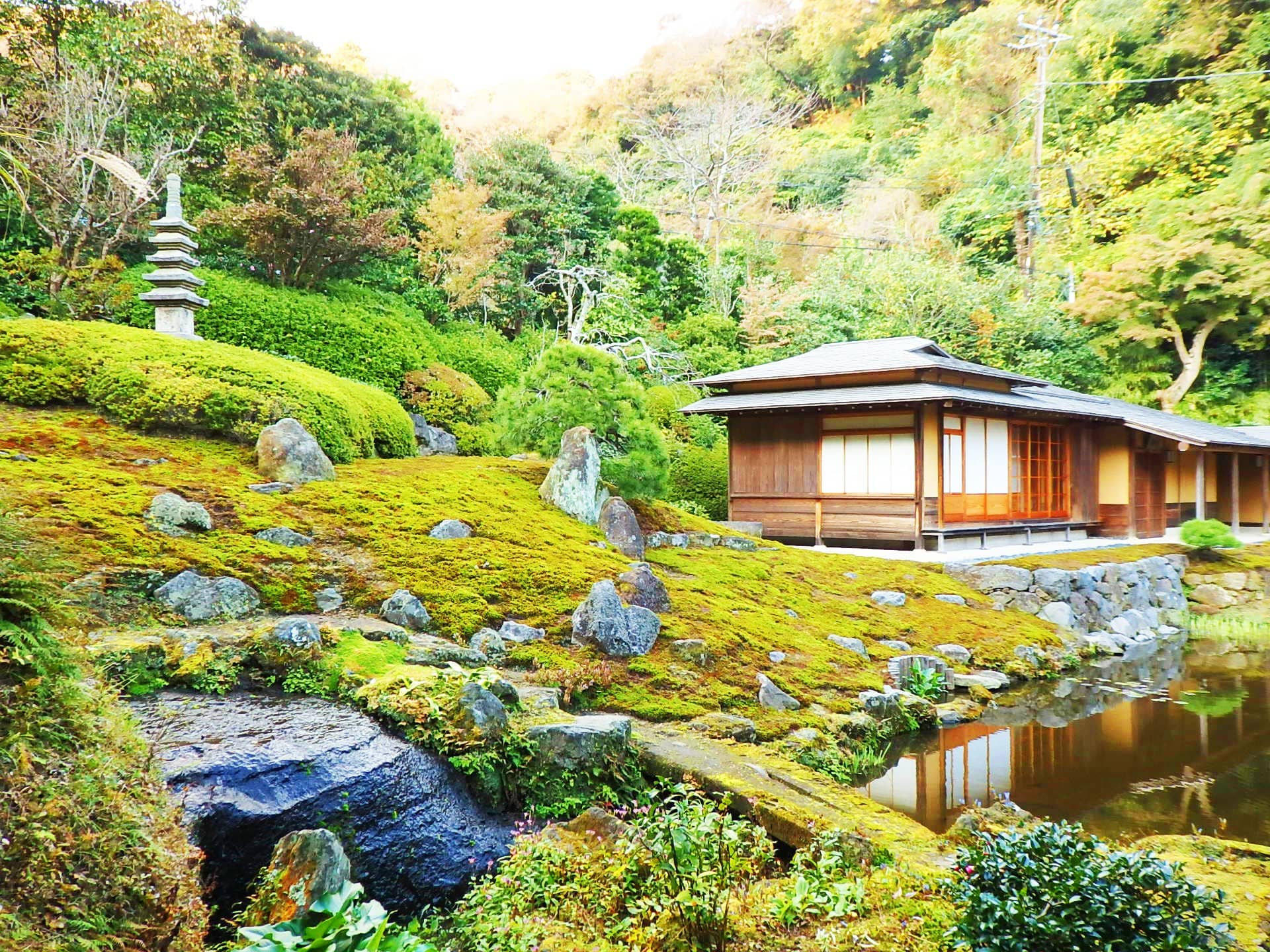 谷戸の緑に包まれた、禅の心が表れたお庭。しっとりとした苔の緑や波紋の広がる水面を眺めるうち、水のように心が静まっていきます