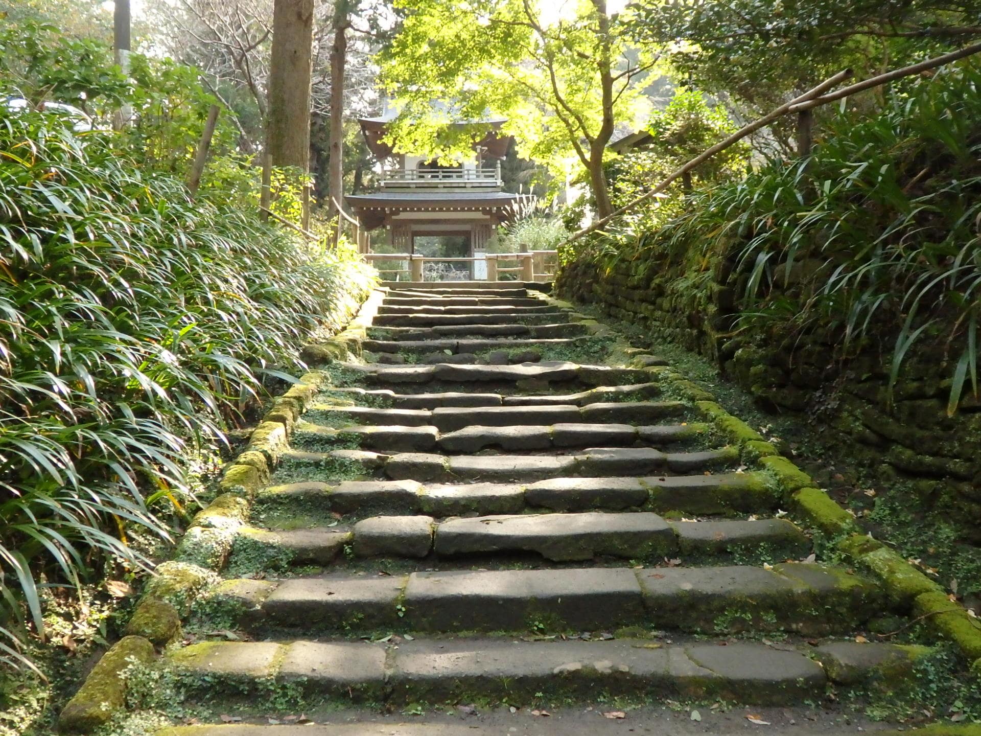 歴史の趣を感じる、浄智寺参道のかまくら石の石段