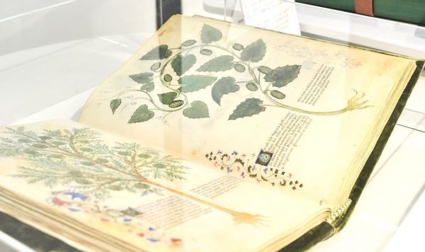 ブックセレクトから科学を楽しむ！