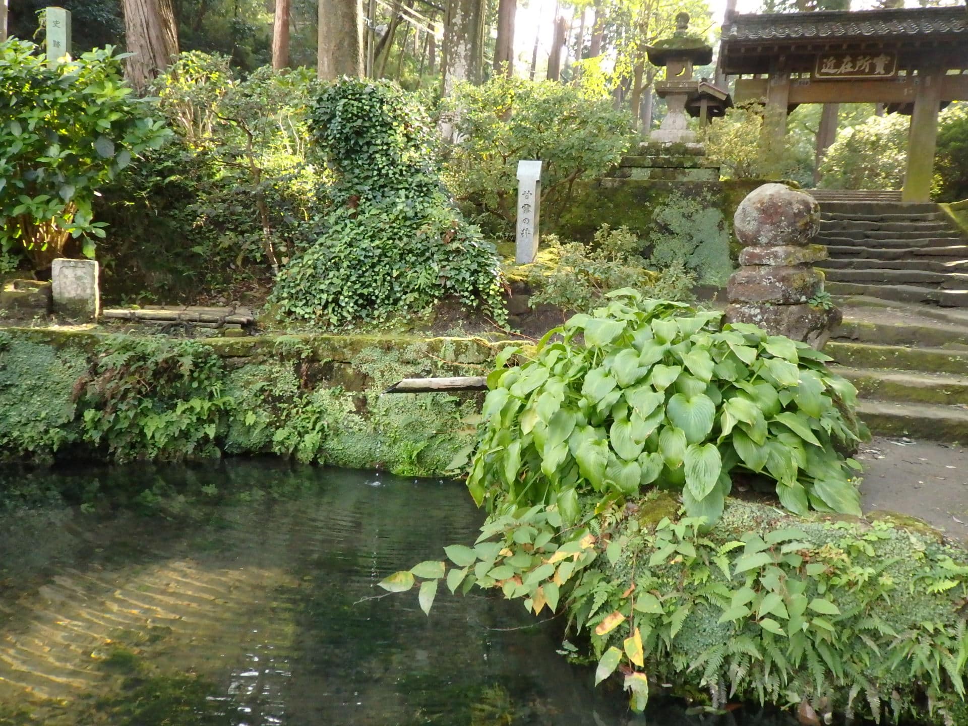 左手に甘露の井があります。源氏山公園につながる、背後の森の保水力をほうふつとさせます（2019年11月中旬現在、台風による倒木の影響で源氏山ハイキングコースは通行禁止です）