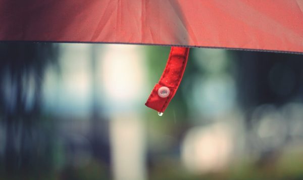 バリスタの徒然草②