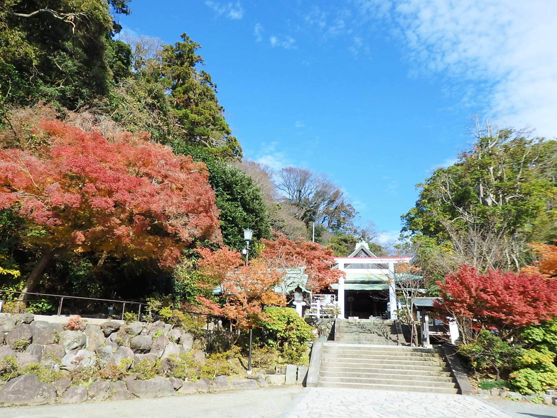 鎌倉の奥座敷で、静かな紅葉狩り 花と自然の鎌倉さんぽ「12月・師走