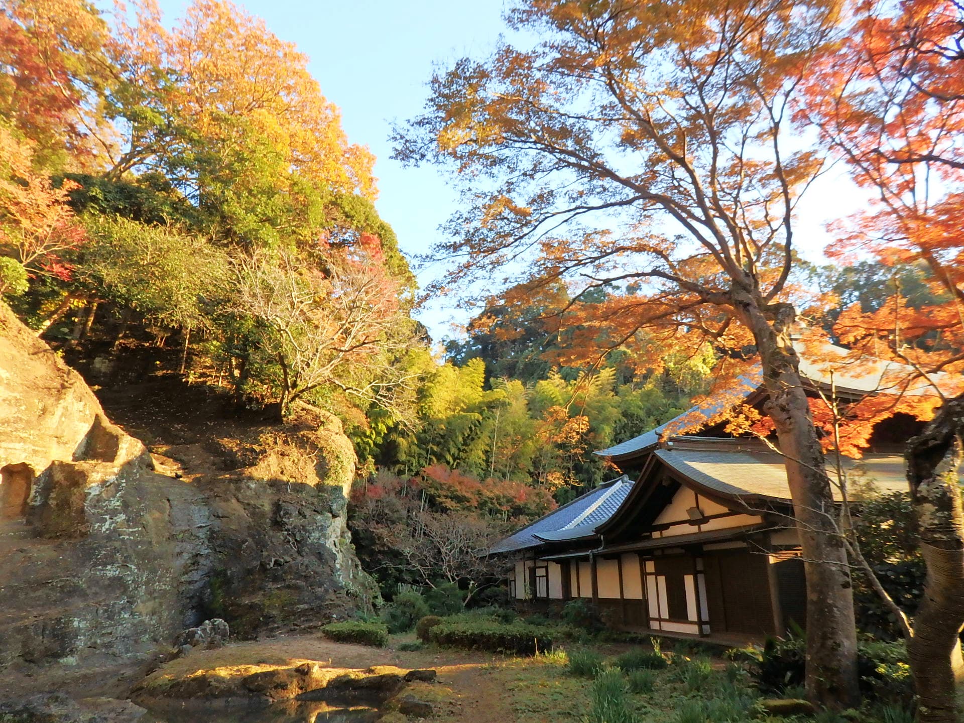 瑞泉寺の山号は錦屏山。お寺を囲む紅葉が、錦の屏風のように美しいことから名づけられたそう（12月第1週撮影）