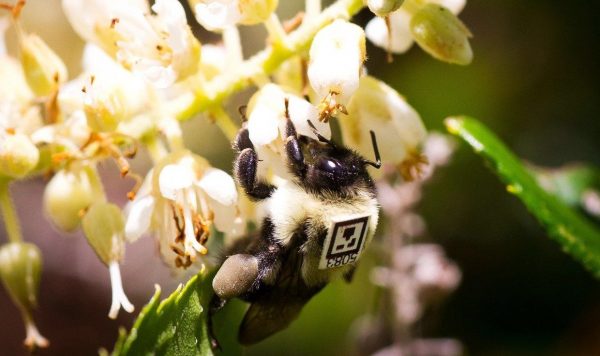 世界標準のQRコード 企業探訪⑰ デンソーウェーブ