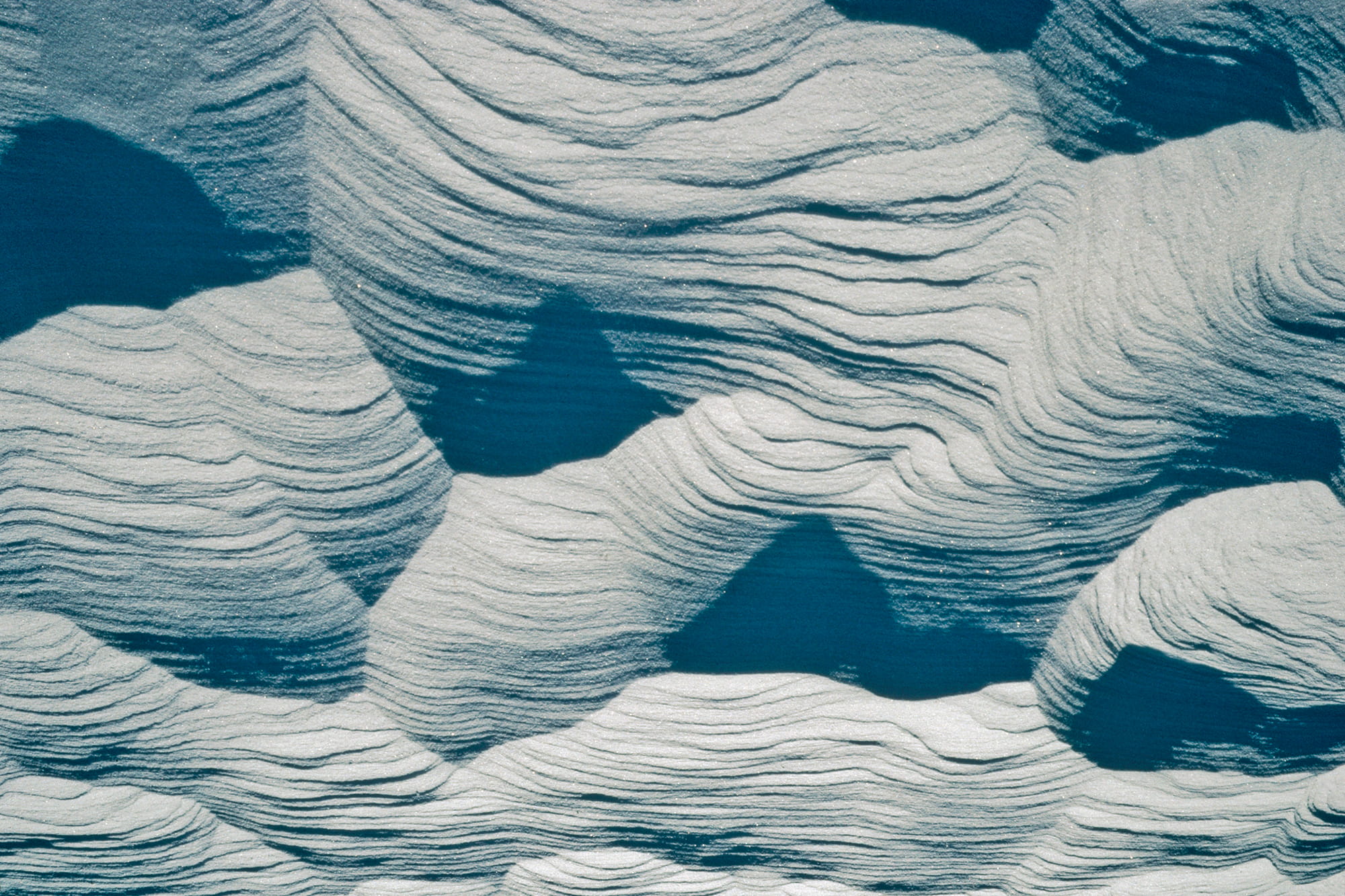 ©MICHAEL QUINTON/MINDEN PICTURES /amanaimages