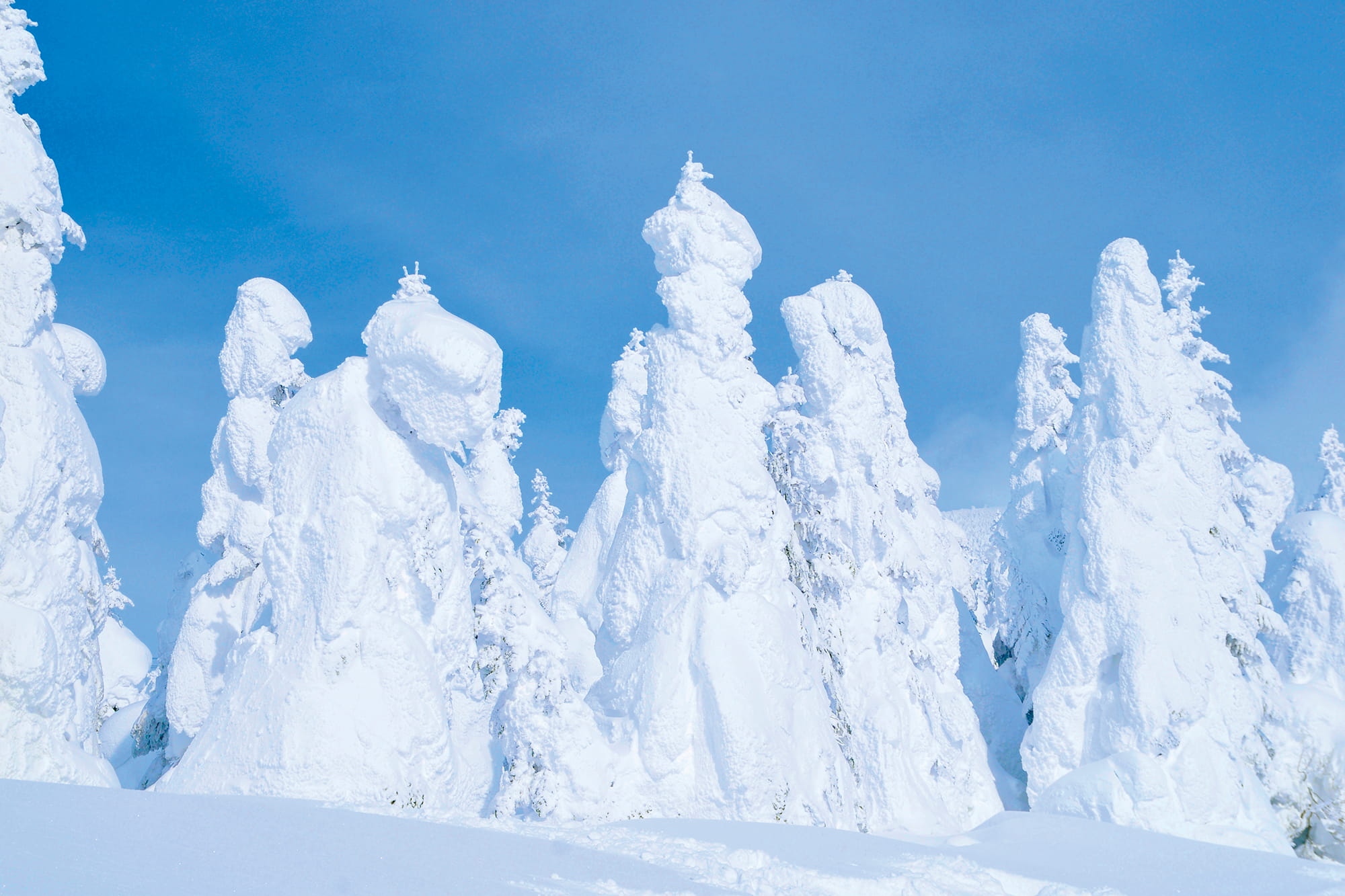 ©BUD international /amanaimages