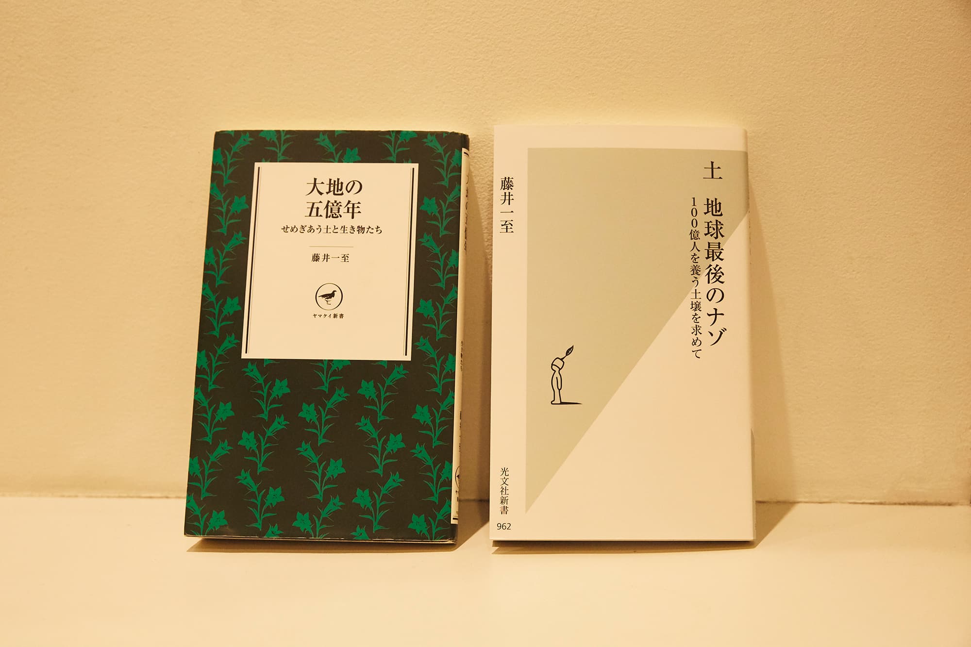 本 会社図鑑!〈2001〉地の巻―業界別カイシャの真相 | motr.ca