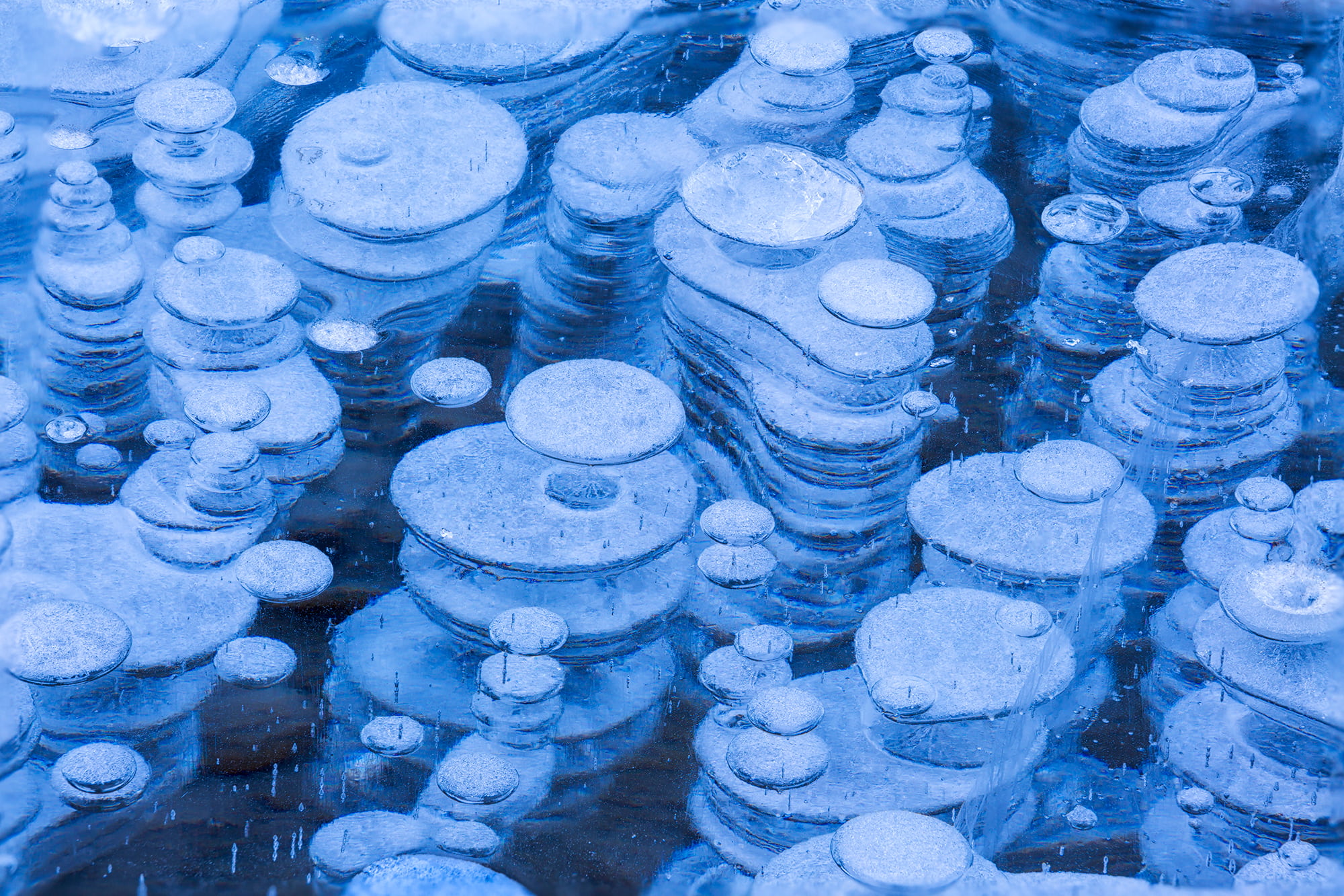 ©Chip Phillips /amanaimages