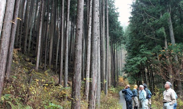 東京の水源となる森をたずねて