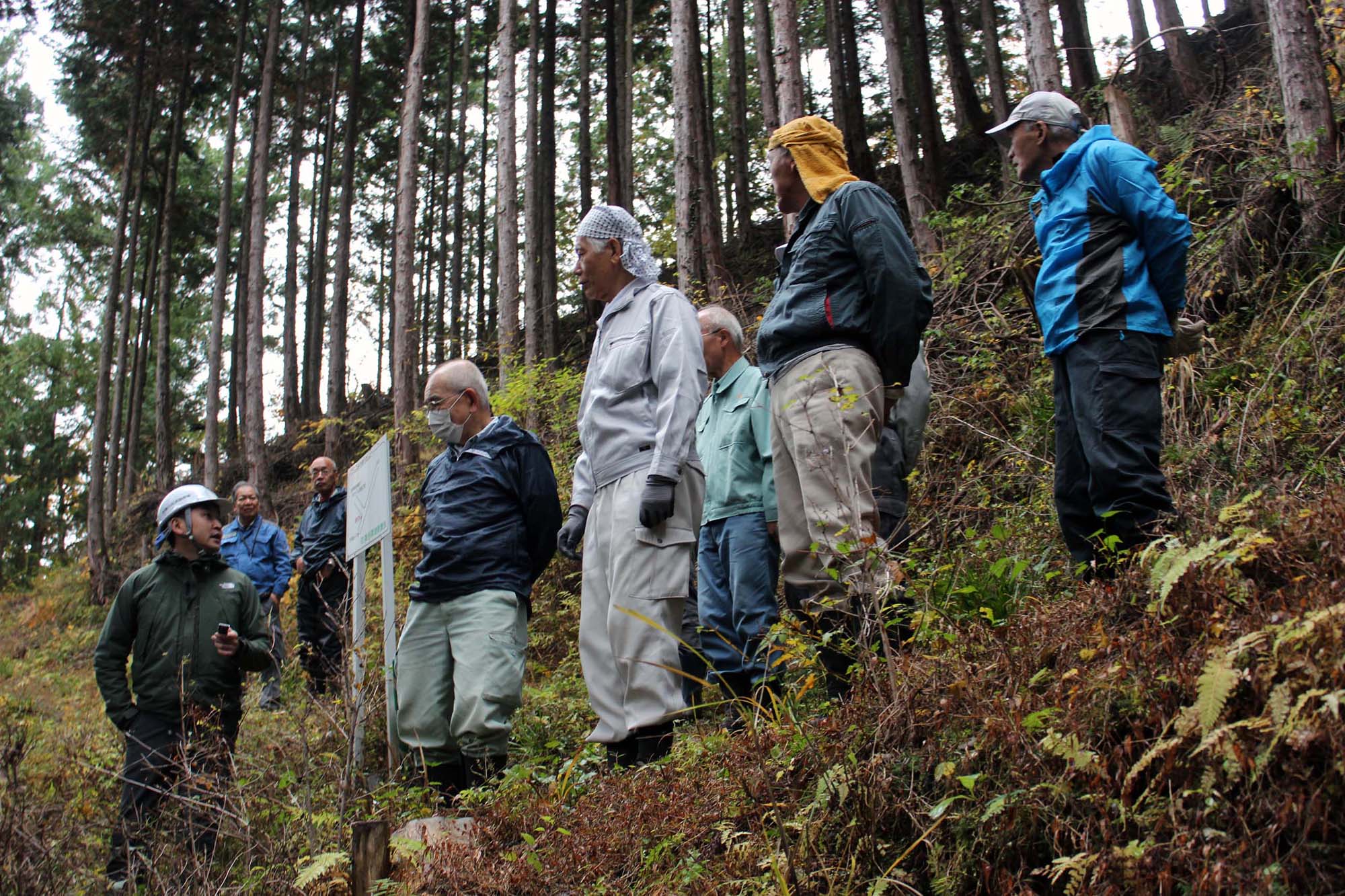ボランティアに参加する理由を「山が好きだから」と語った森林隊のメンバー。何十年後も美しい姿が保たれることを願う