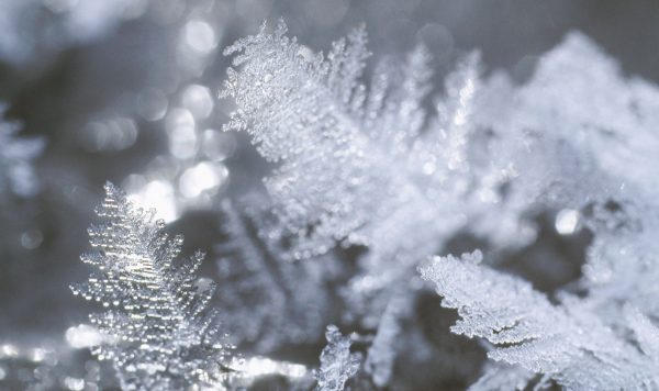 きれいで不思議な冬のできごと