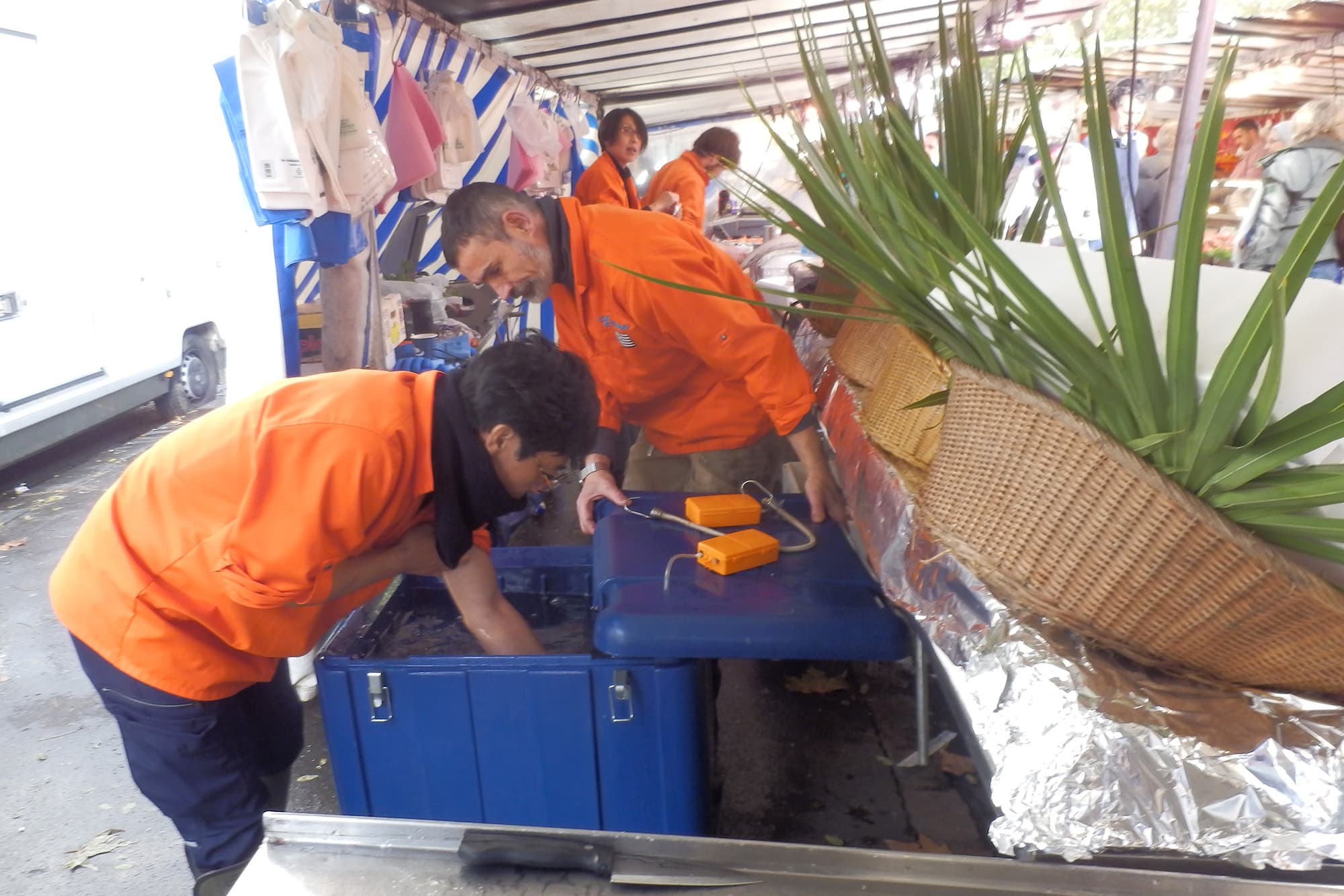 活け締めを披露した当日は、現地で調達した簡単なボックスとバッテリー式のポンプ装置で、キブロンで釣られた鯛とロリアン沖で釣れた舌平目をパリの11区のマルシェまで運んだ