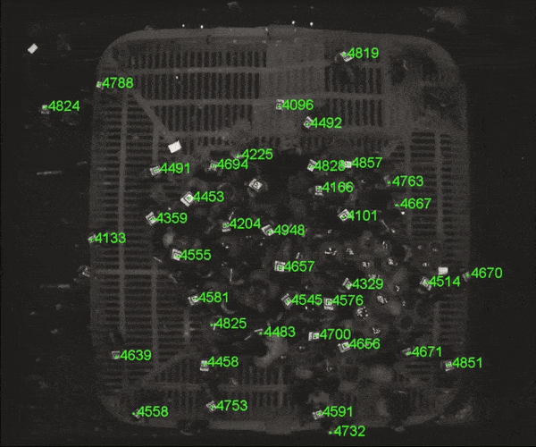 QRコードでハチの行動を追跡したところ、行動には個体差があることが判明した。食料係と世話係の違いがあるうえ、食料係の中でもひっきりなしに巣と野外を行き来する個体、巣内を動き回る時間が長い個体、巣内の仲間とのやりとりが多い個体などが見られたという ©︎James Crall/Harvard University