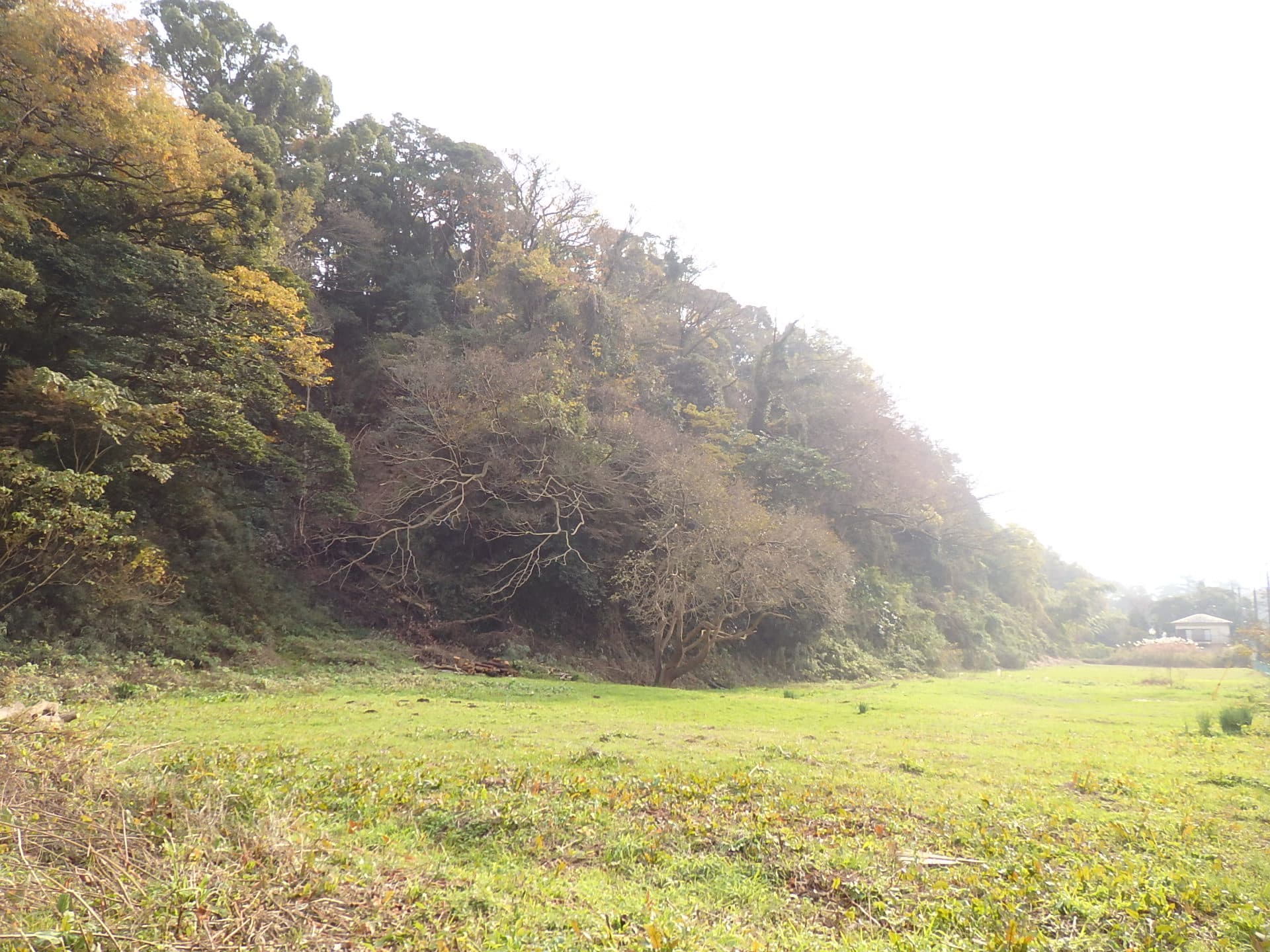 鎌倉文士・大佛（おさらぎ）次郎をはじめ、人々の想いの力により、開発から守られた御谷。日本のナショナルトラスト発祥の地