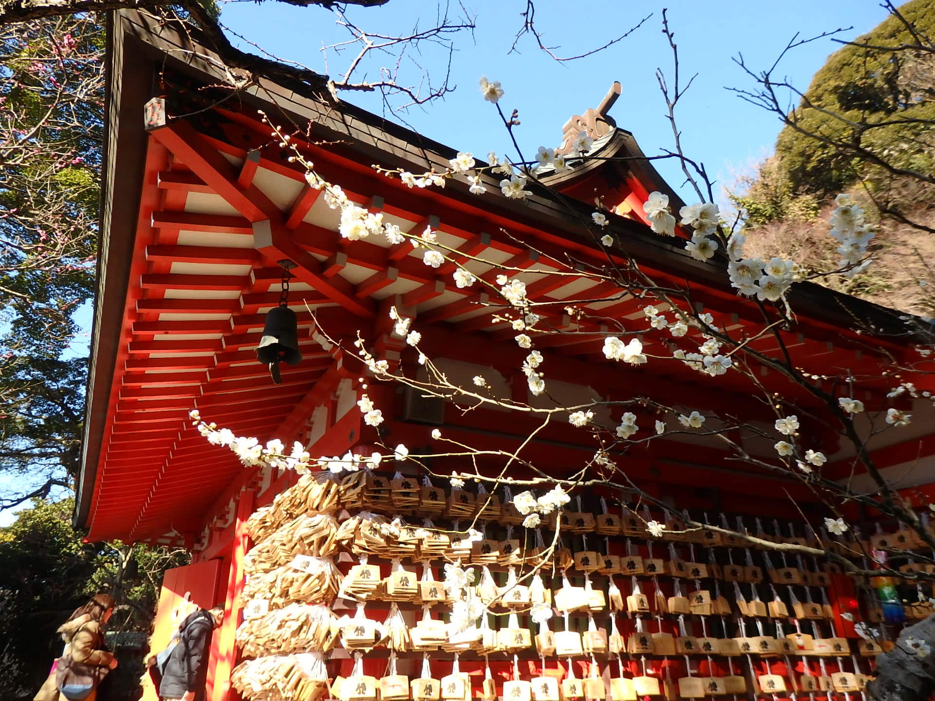 日本三古天神の1つに数えられる荏柄天神社。1～2月のウメの時期は、学問の神様・天神さまにお参りに、多くの学生・受験生が祈願に訪れる（2月2週撮影）