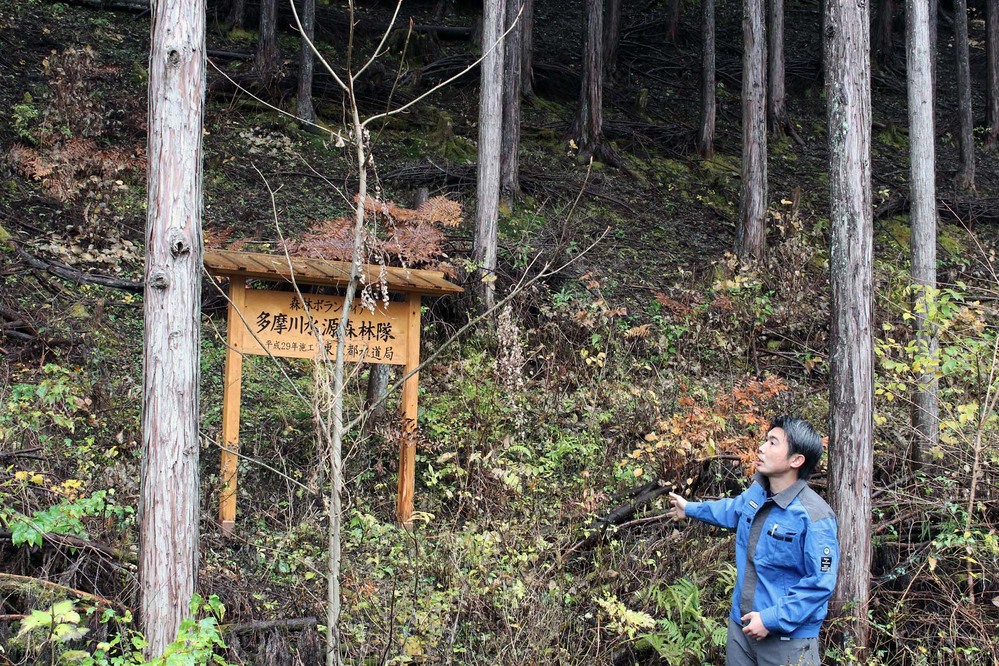 数々の賞を受賞している森林隊の活動。参加者たちの誇りにもつながっている
