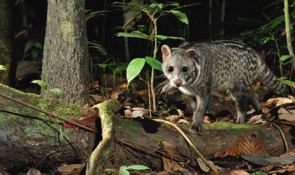 続・コーヒー＆チョコレート