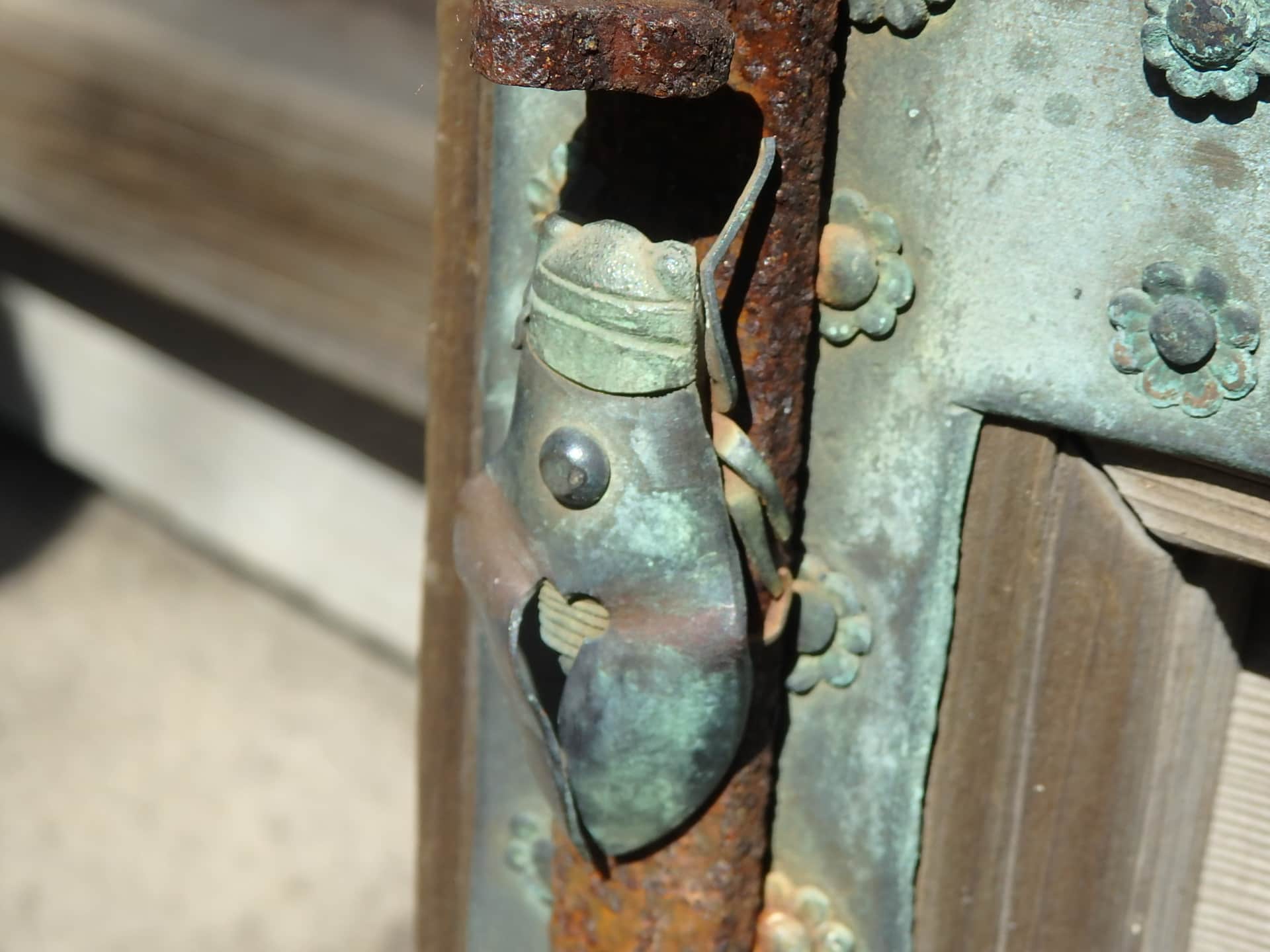 セミの背中にあるハート形はイノシシの目の形になぞらえた「猪目（いのめ）」といって、魔よけの意味もあるそう