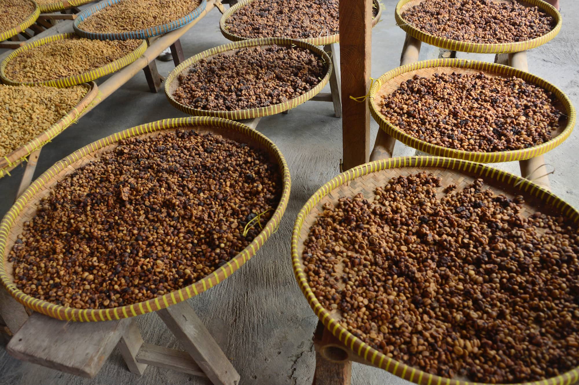 インドネシアで製造されるコピ・ルアック ©︎JUNKO TAKAHASHI/a.collectionRF /amanaimages