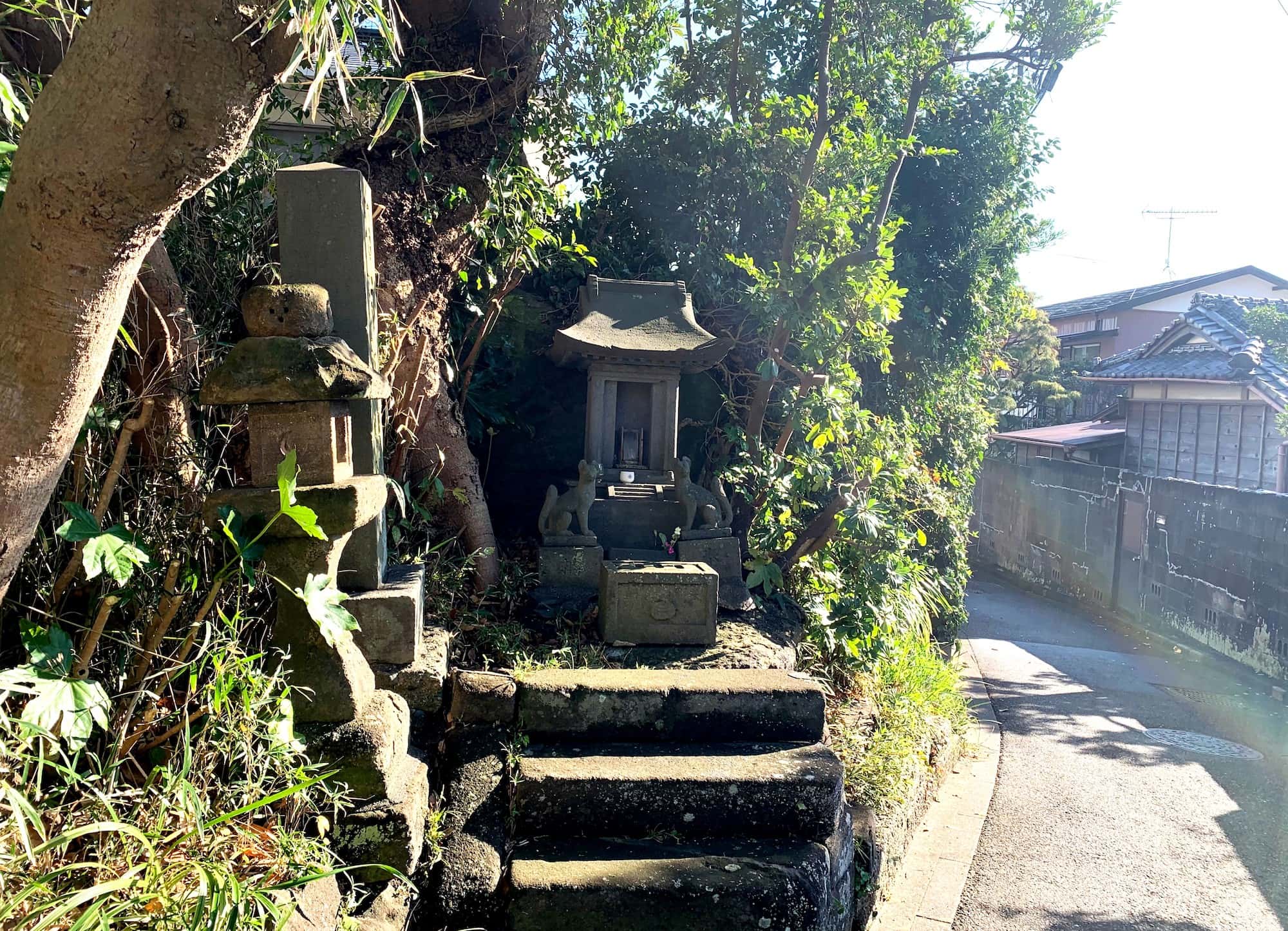 タブノキの緑に包まれた正宗稲荷