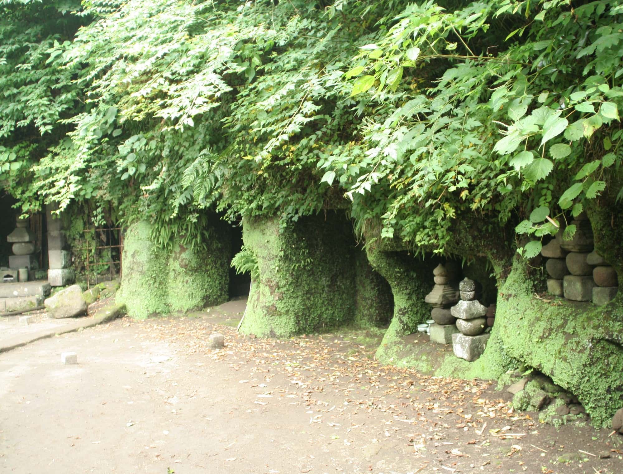 しっとりと緑に包まれた、寿福寺裏のやぐら群