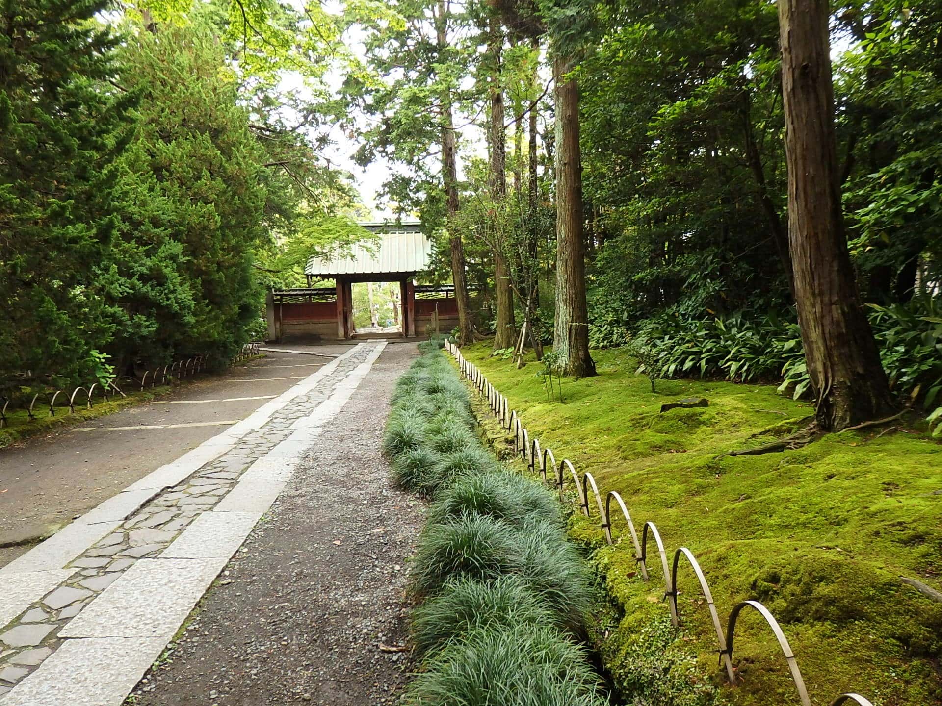 緑のコケが美しい。すがすがしい寿福寺の参道