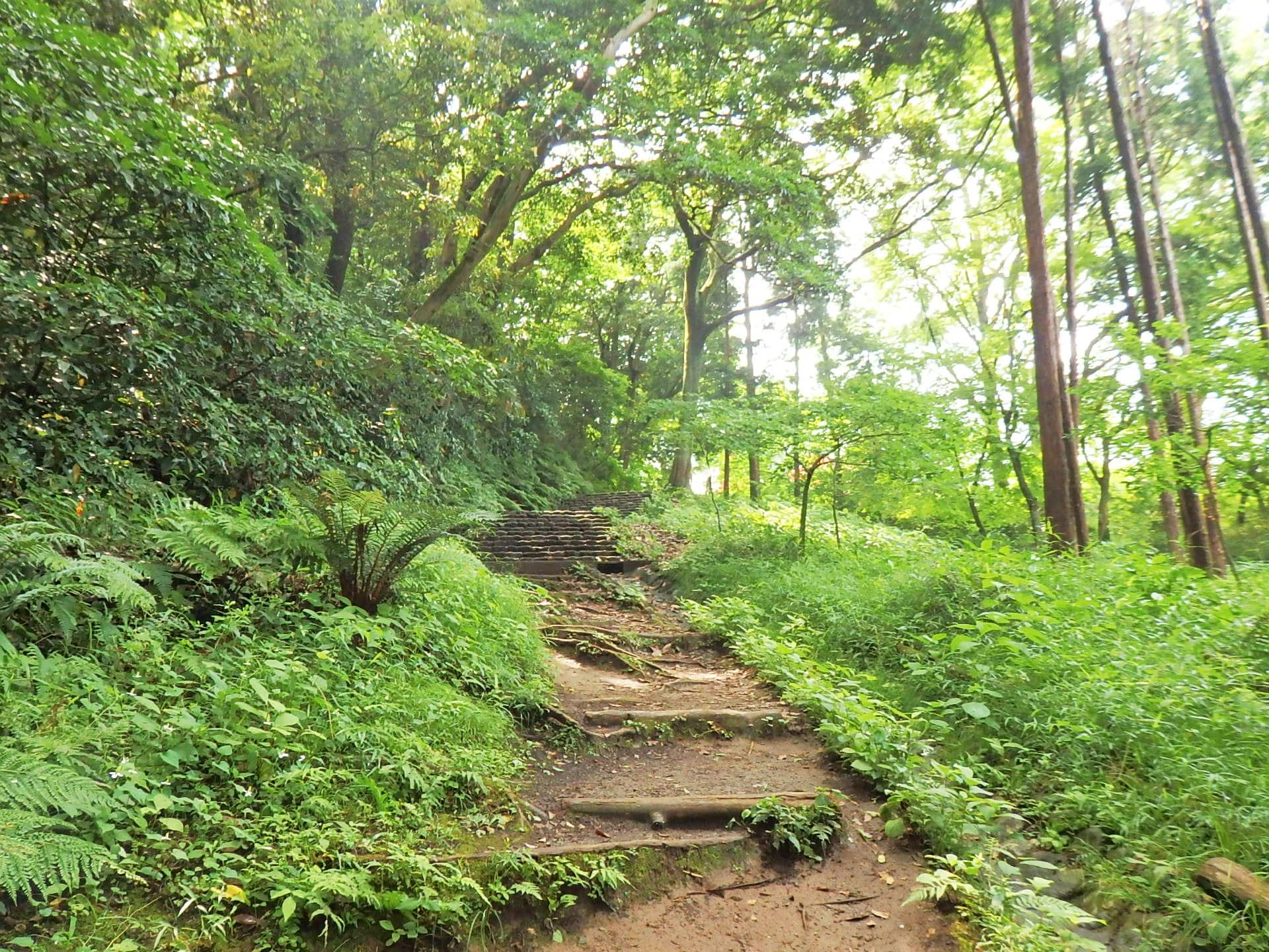 寿福寺裏から源氏山公園へ至る道。山道を経て、15分ほどで公園へ到着します