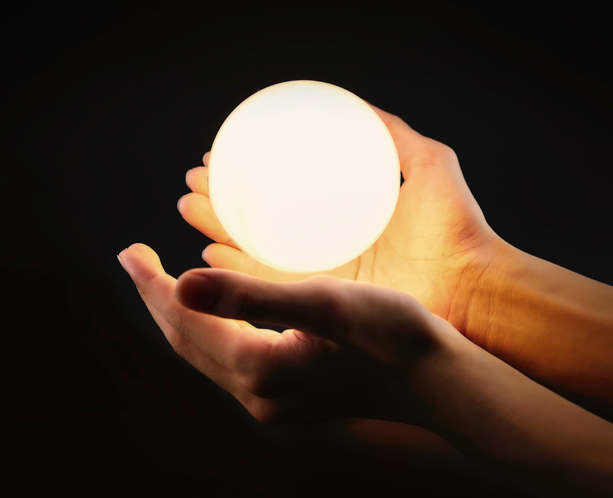 ©︎IDC/a.collectionRF /amanaimages