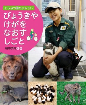 びょうきやけがをなおすしごと