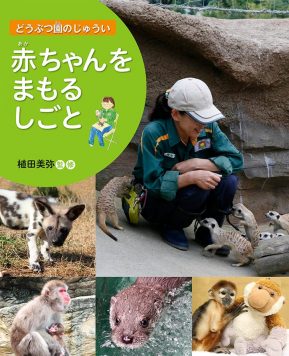 赤ちゃんをまもるしごと