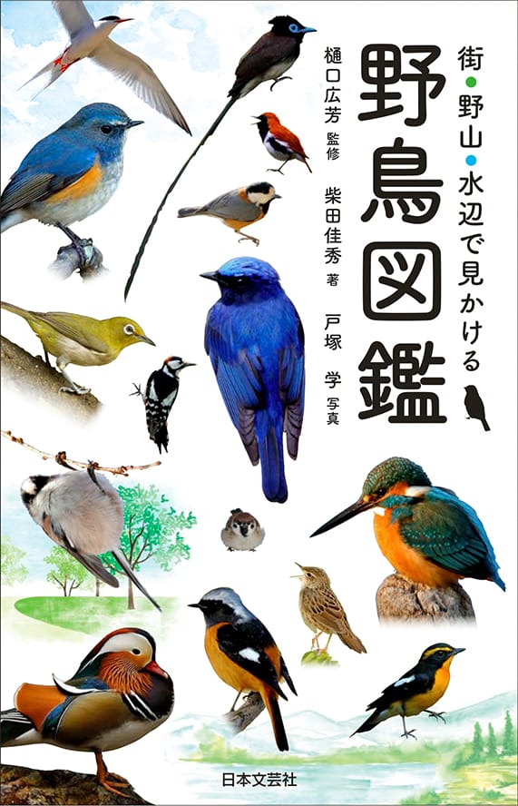 街・野山・水辺で見かける野鳥図鑑