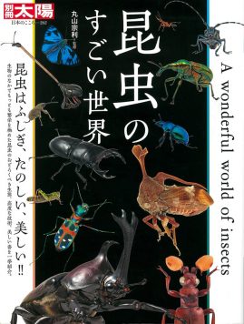 昆虫のすごい世界