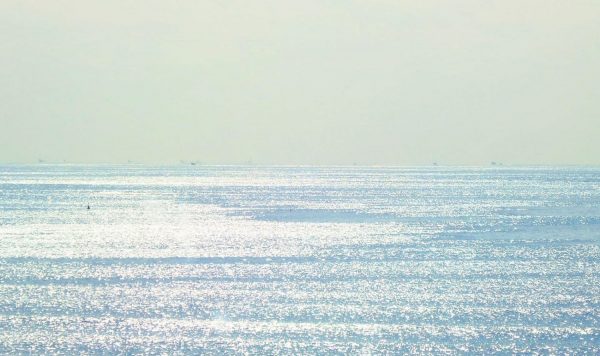 花と自然の鎌倉さんぽ「3月 弥生」