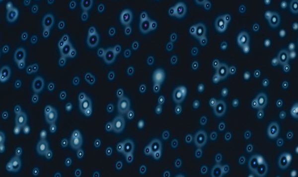 疫病神とウイルス