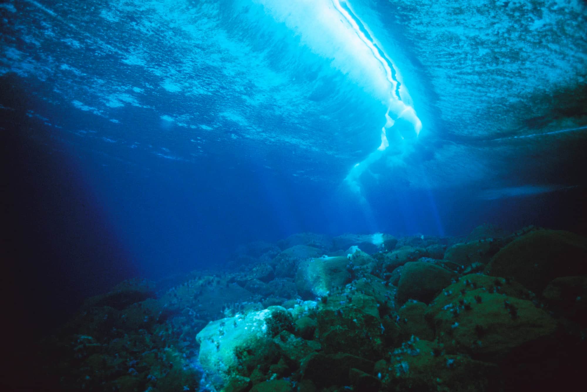 ©︎ Minden Pictures/amanaimages