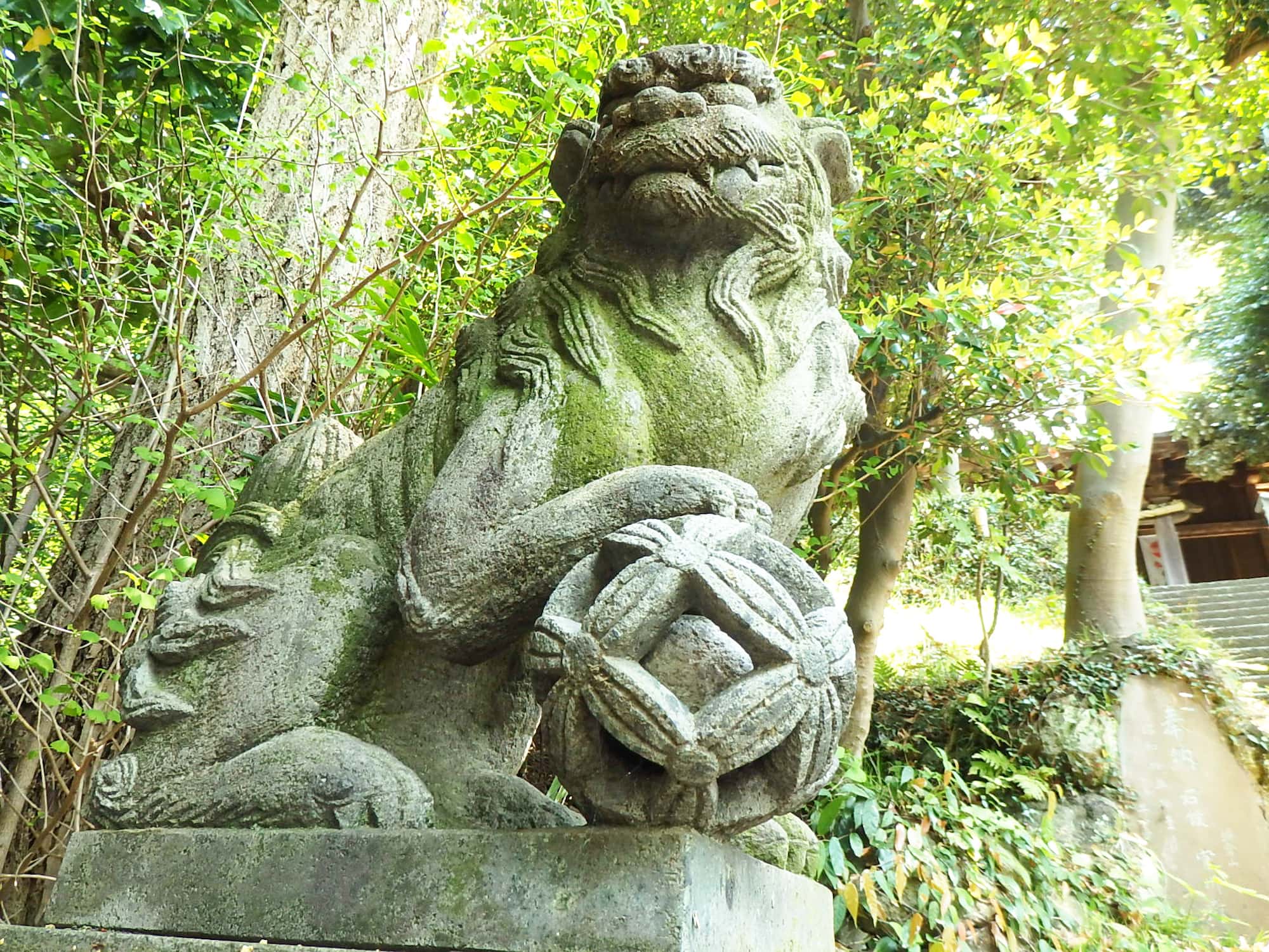 外から触るとコロリと転がせる石の玉が入った毬を踏む狛犬。昭和6年（1931年）建立、石工名：笛田 岩崎金太郎 刻 との記録がある