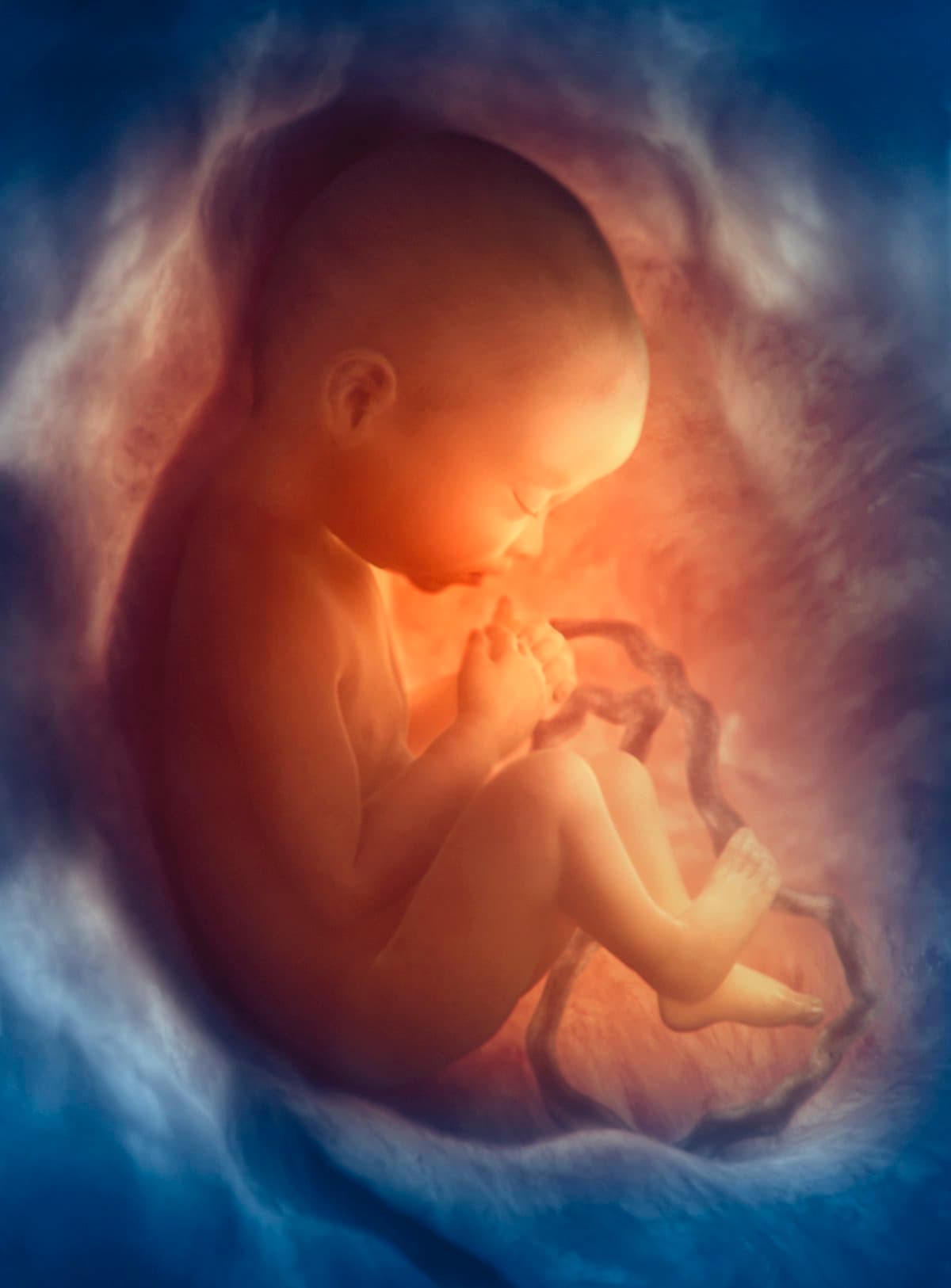 ©︎Science Photo Library/amanaimages