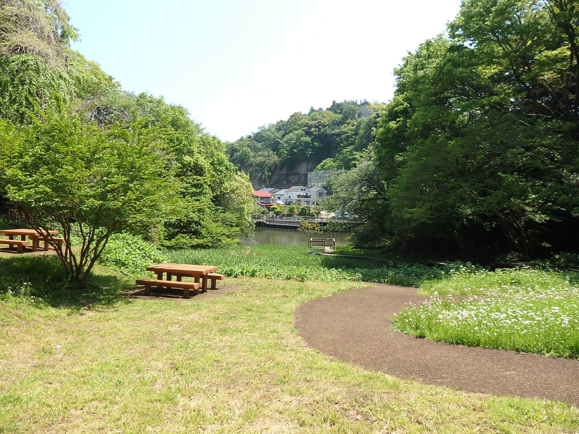池を望む芝生広場の、のんびり草地。お弁当を広げるのもいいですね
