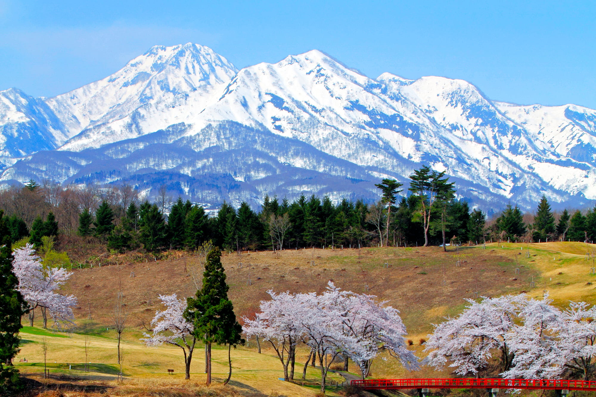 春を告げる風景 雪形 アマナとひらく 自然 科学 のトビラ Nature Science