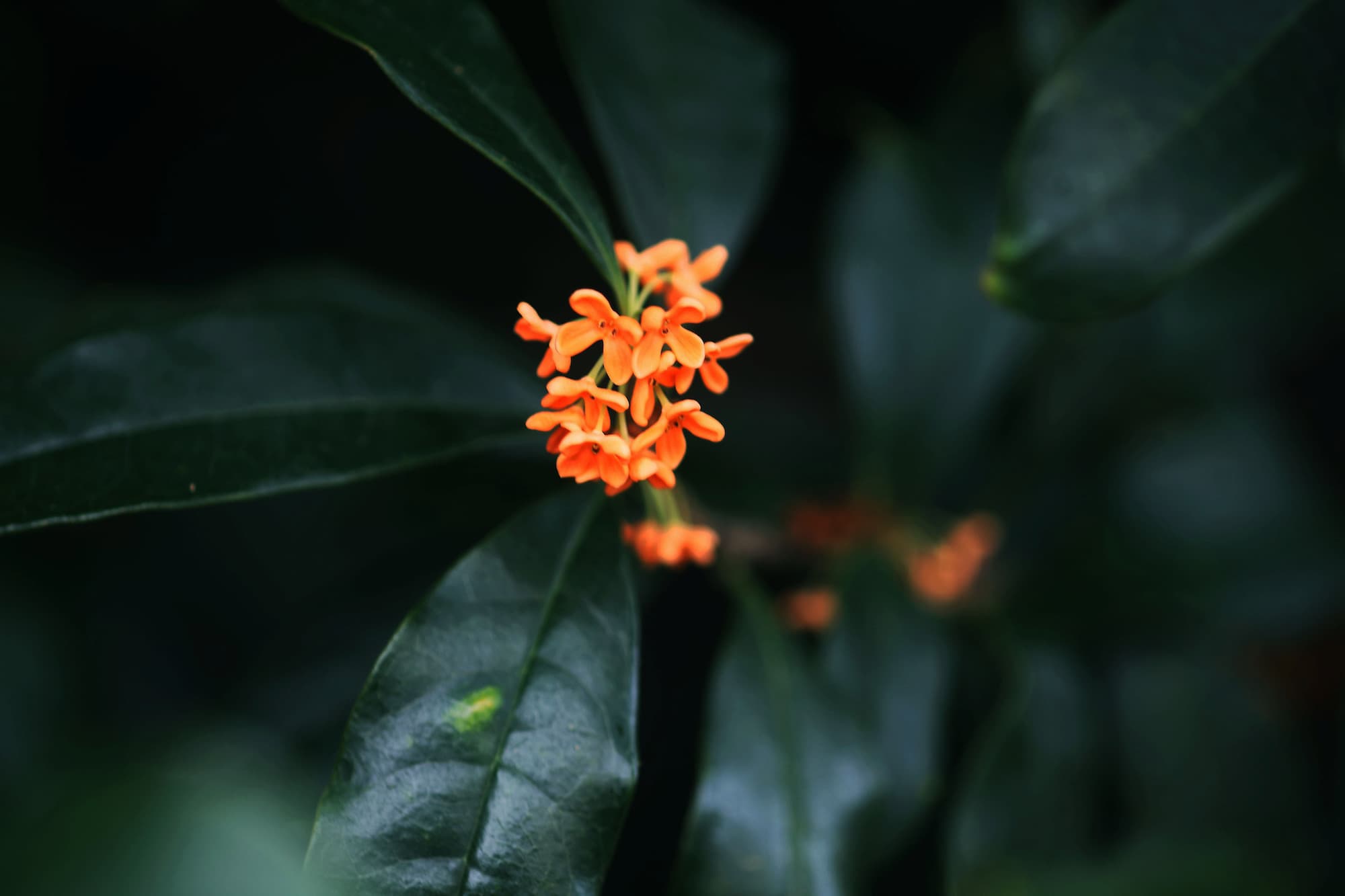 ©︎MASAHIRO_NAKANO/amanaimages