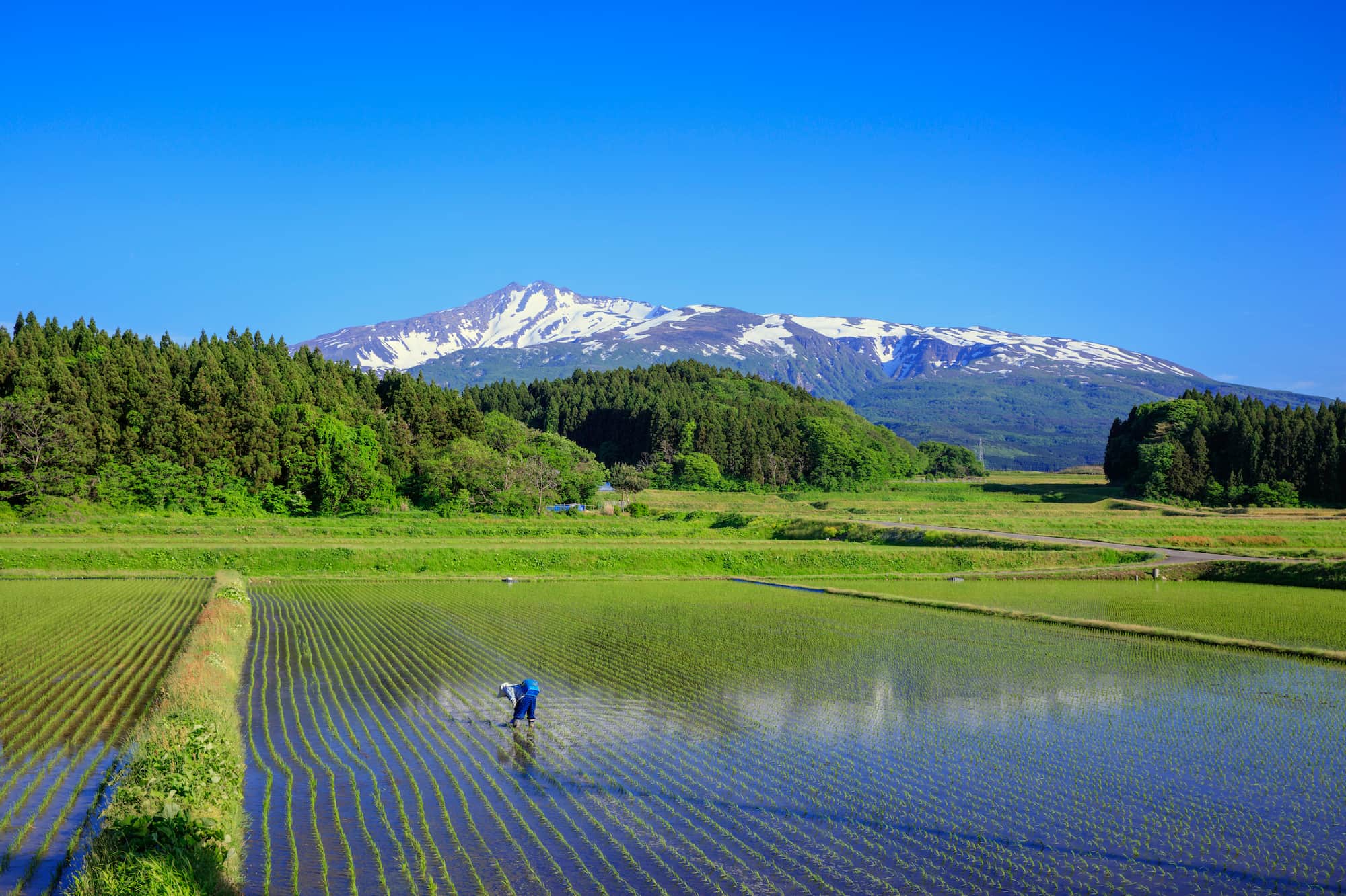©TOSHITAKA MORITA/SEBUN PHOTO /amanaimages