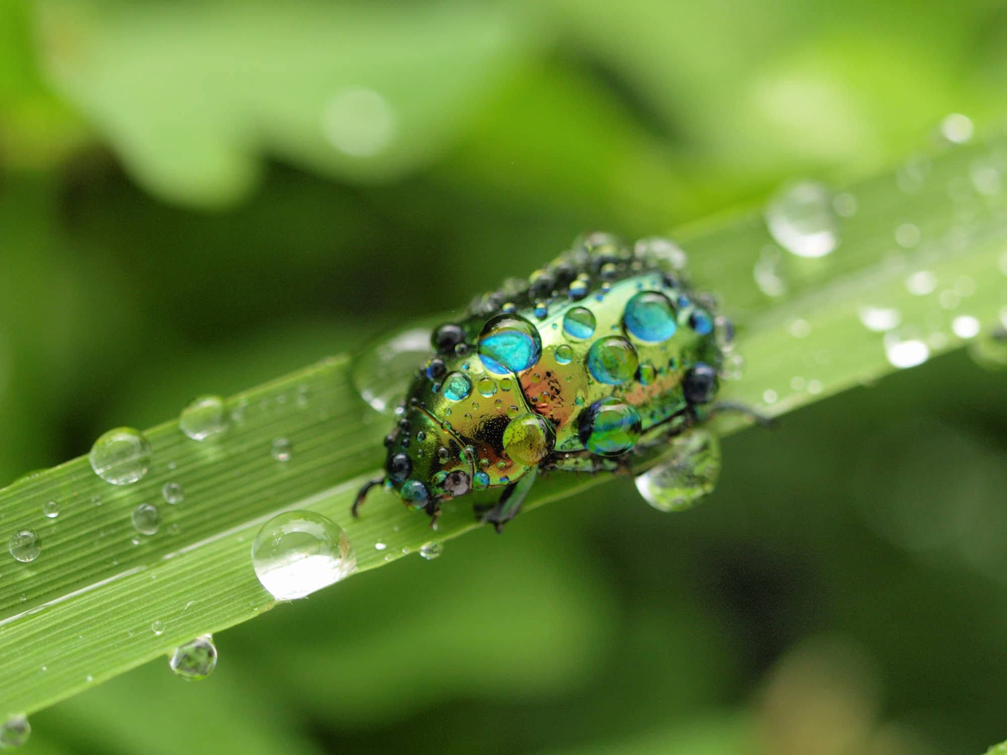 ©︎ shinkai takashi/Nature Production /amanaimages