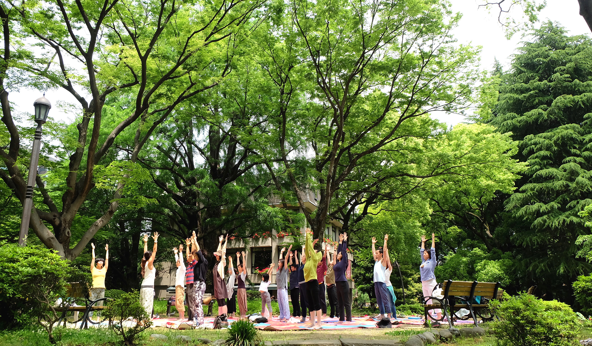 日比谷公園で森ヨガ開催。都市の森林でもリラックス効果が得られる