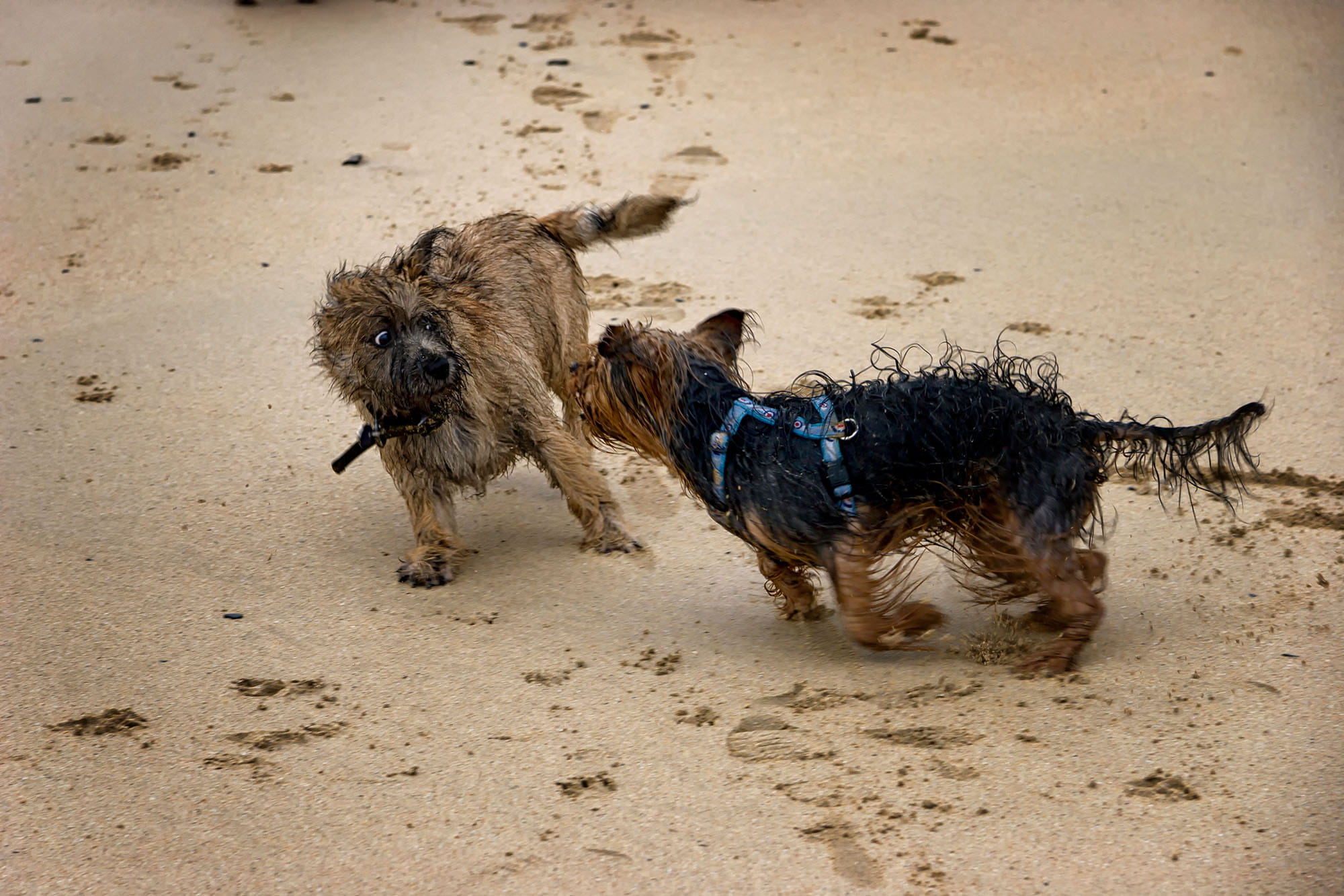 やっぱりビーチはテンションが上がる（イギリス・コーンウォール） ©️Ronnie McMillan / Alamy /amanaimages
