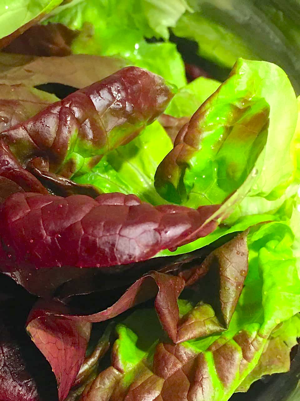 2020年4月5日（19日目） 1km圏内ギリギリの散歩の途中、色彩に惹かれて 無性に食べたくなったサラダ菜。その味を忘れないだろう